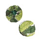 Large Exclusive Shower Caps