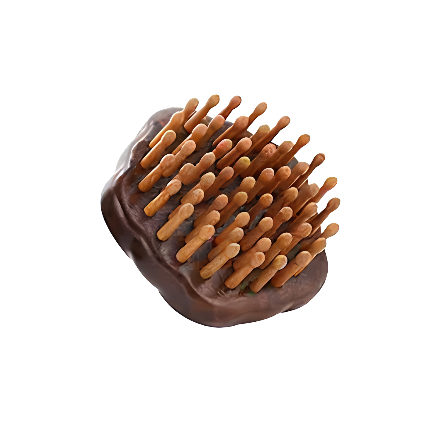 Wooden Scalp, Hair & Beard Massager