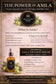 Amla Infusion Serum